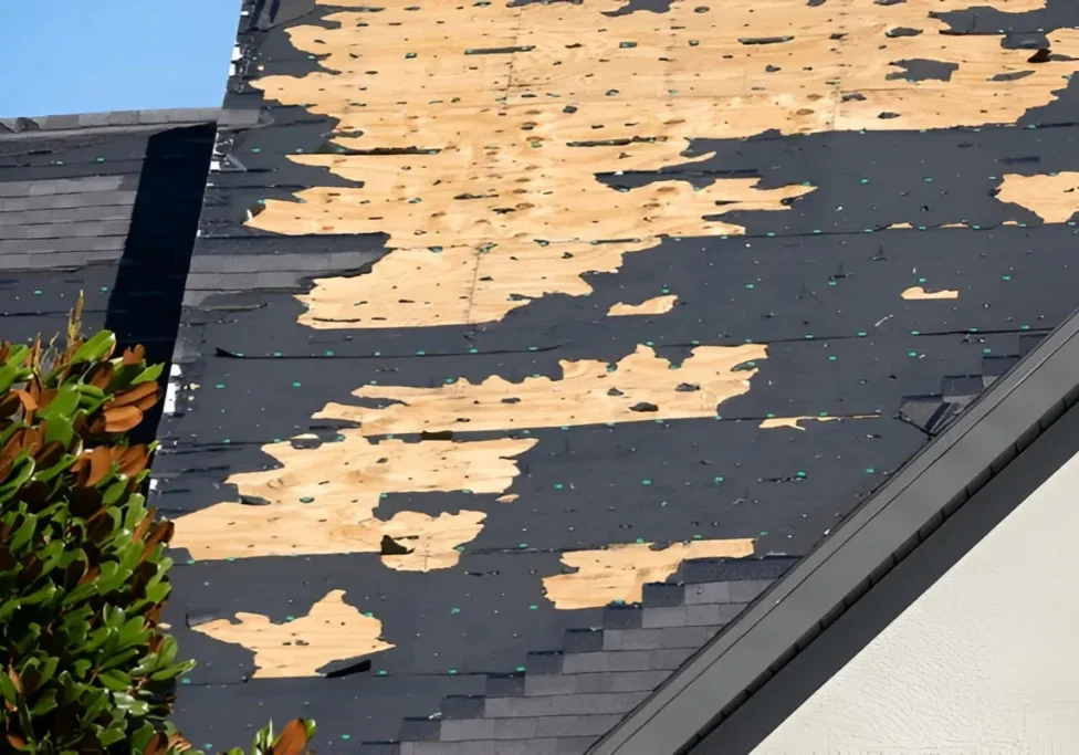 Damaged Roof Insurance Service